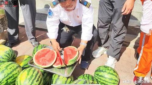 富县网红吃瓜事件视频,一场网络狂欢背后的真相揭秘